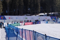 Svetovno prvenstvo v deskanju na snegu Rogla 2021