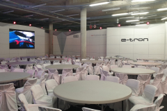 Planica_Audi_2